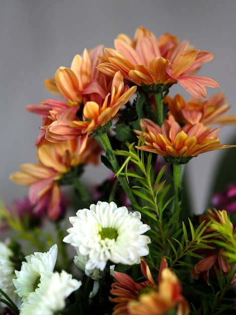 molti gruppi di fiori di campo bianco arancio