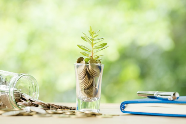 Monete in un bicchiere con un piccolo albero