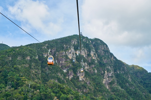 Montagna con alberi e una funivia