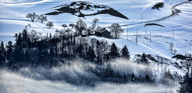 Montagna con neve e nebbia