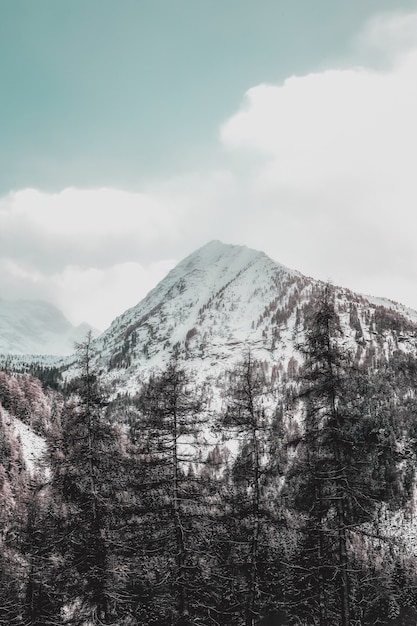 Montagna coperta di neve