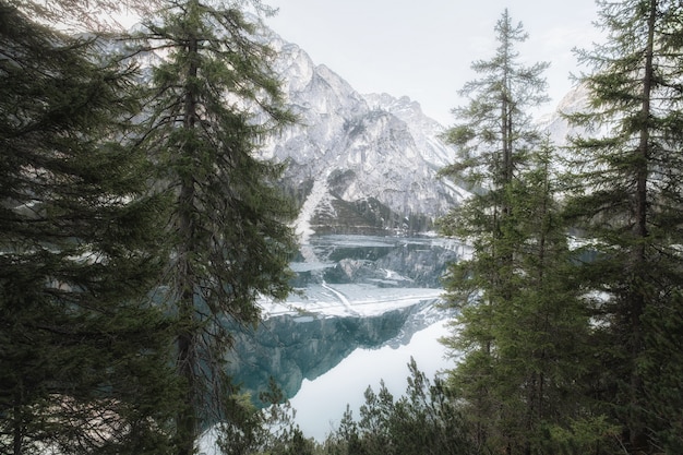 Montagna coperta di neve