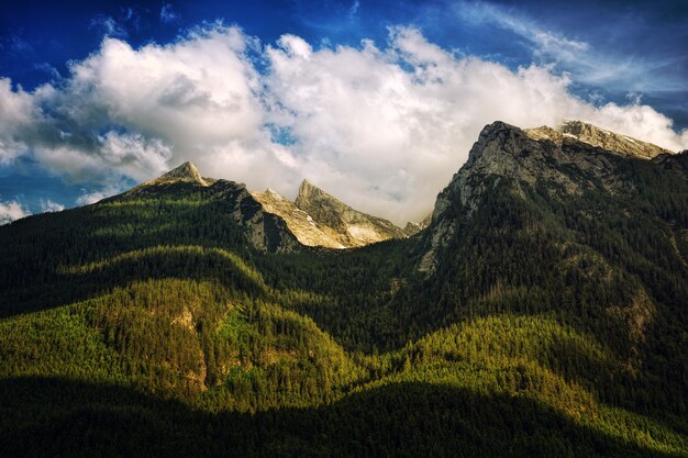 Montagna Verde