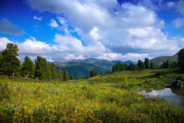 Foto gratuito montagne lago