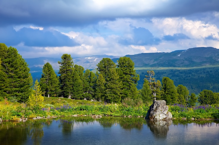Foto gratuito montagne lago