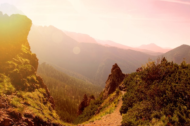 montagne piante verdi occidentali esterno