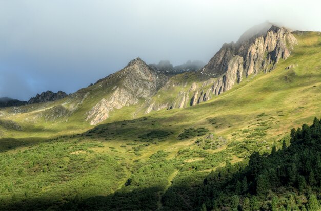 Montagne Verdi Con Nebbia