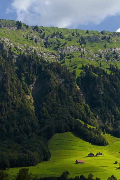 Montagne verdi e grigie durante il giorno