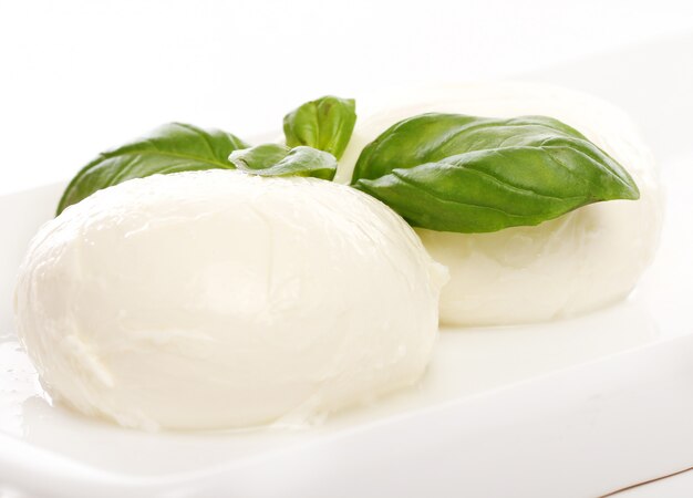 Mozarella bianca con foglie di menta