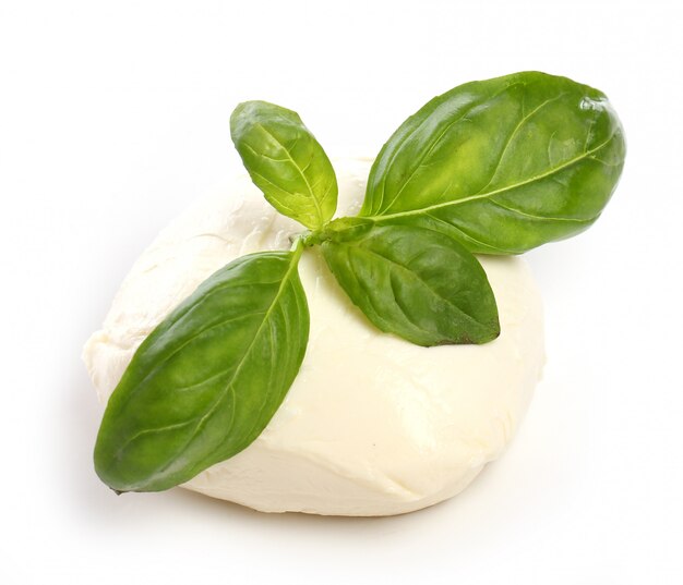 Mozarella bianca con foglie di menta