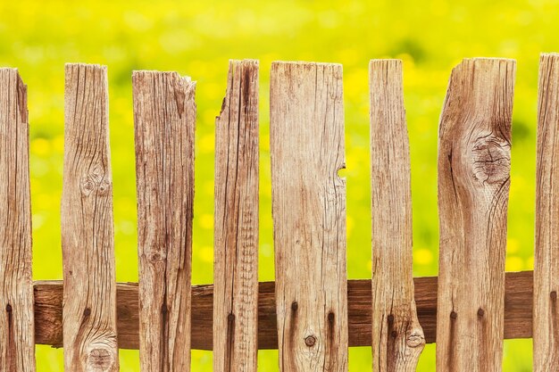 Mucchi di legno nel prato