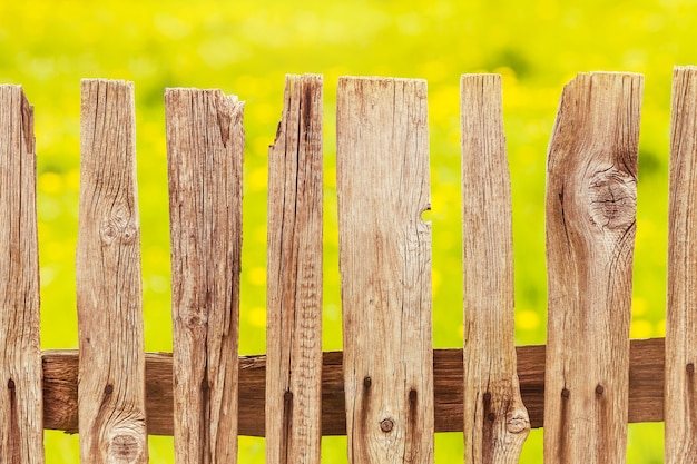 Mucchi di legno nel prato