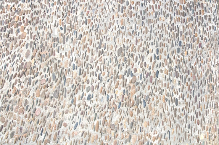 Foto gratuito muro di cemento con piccole pietre radicati