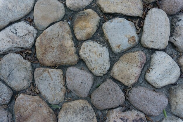 Muro di materiale bianco della superficie della vernice dell&#39;annata