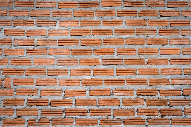 Muro di mattoni con cemento fresco