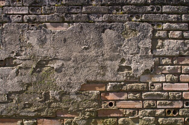 Muro di mattoni in cemento