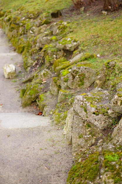 Muro di pietra di contenimento basso ricoperto di muschio