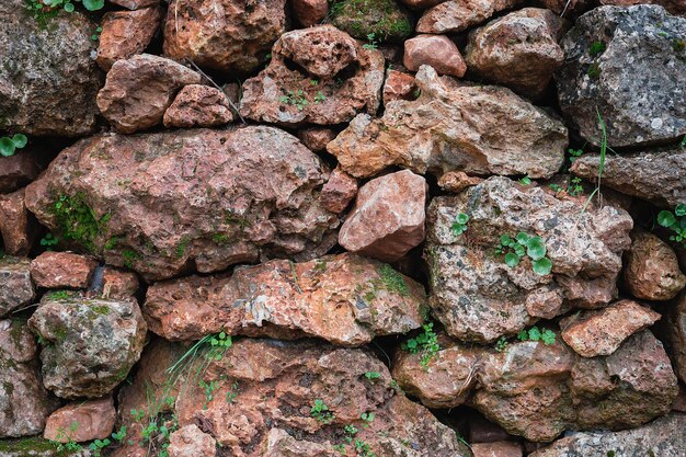 Muro di pietra in pietra grezza bordo su appezzamenti di terreno in un'idea di sfondo uliveto