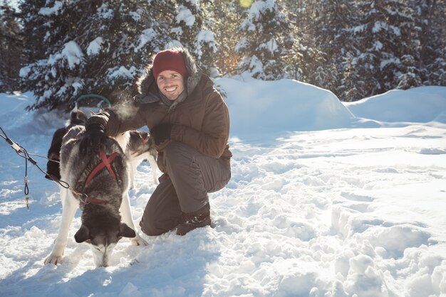 Musher sorridente che lega i cani husky alla slitta