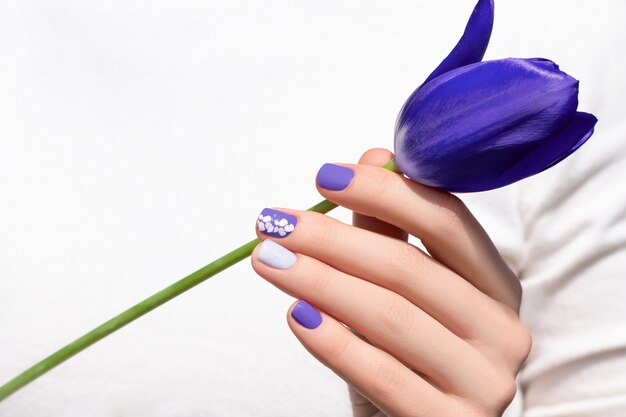 Nail design viola. Mano femminile con il fiore viola del tulipano della tenuta del manicure