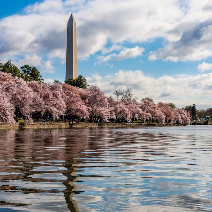 Foto gratuito national mall circondato da alberi e un lago sotto il cielo nuvoloso a washington dc