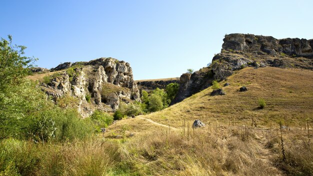 Natura della Moldavia, gola con pendii rocciosi, alberi rigogliosi e sentiero escursionistico sul fondo