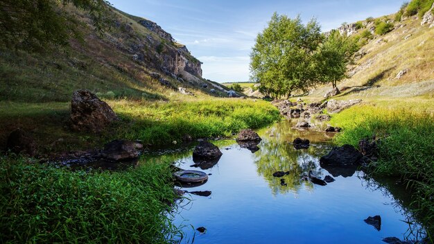 Natura della Moldova, valle con fiume che scorre, erba alta e alberi lungo di essa