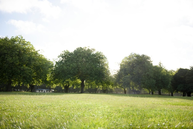 natura ecologia vai verde destinazione destinazione modificata