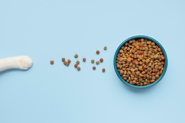 Foto gratuito natura morta composizione di alimenti per animali domestici