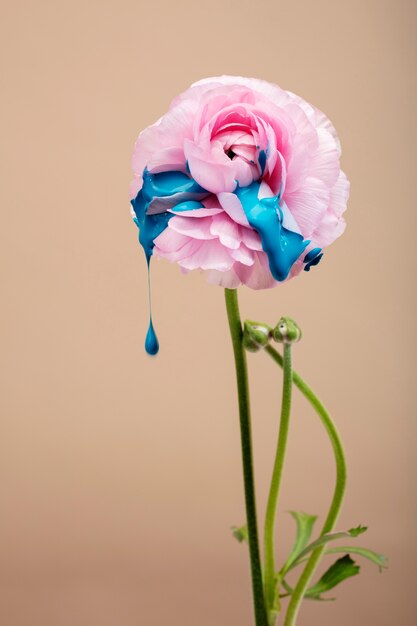 Natura morta con foglie e fiori colorati