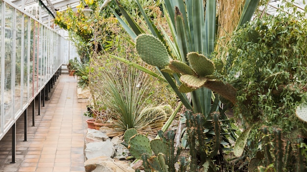 Natura morta con il concetto di giardinaggio