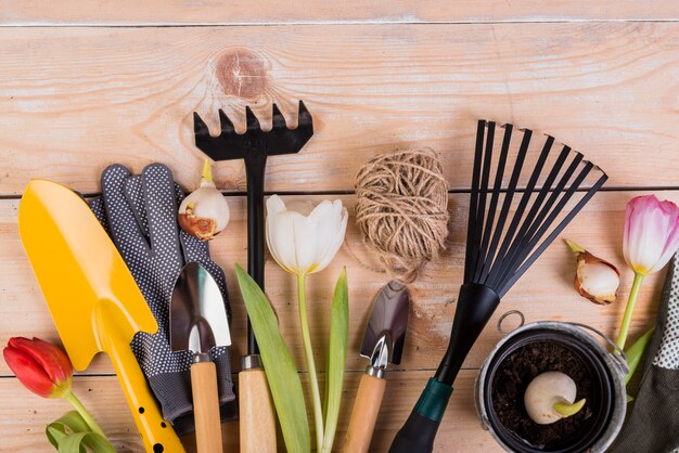 Natura morta con oggetti da giardinaggio