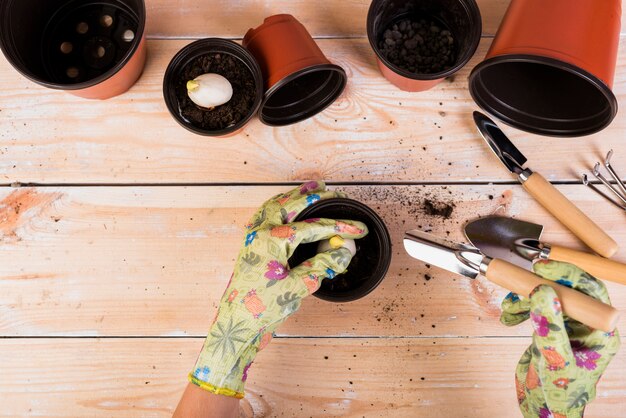 Natura morta con oggetti da giardinaggio