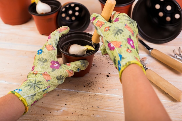 Natura morta con oggetti da giardinaggio