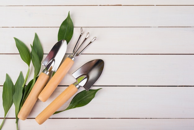 Natura morta con oggetti da giardinaggio