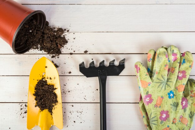 Natura morta con oggetti da giardinaggio