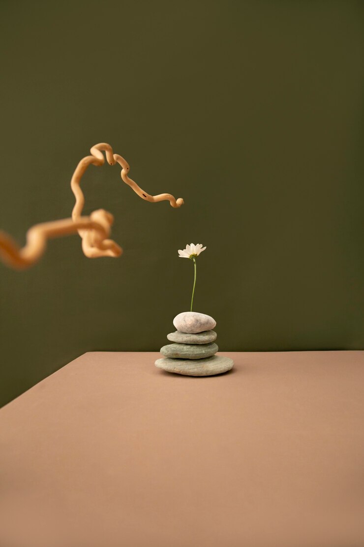 Foto gratuito natura morta con piante deco