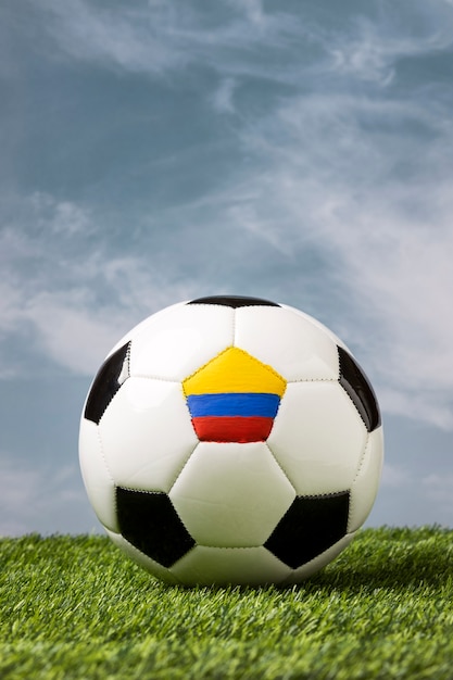 Natura morta della nazionale di calcio della Colombia