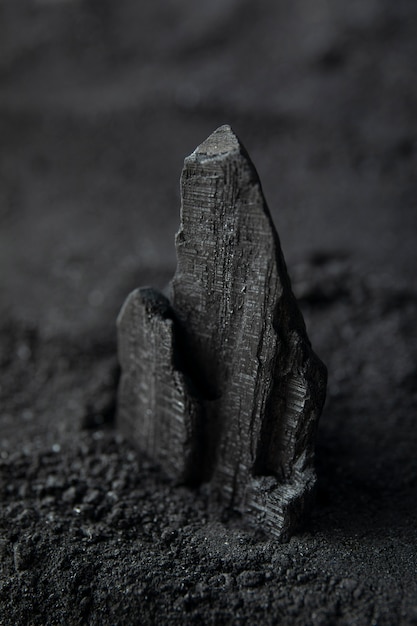Natura morta di cenere con carbone