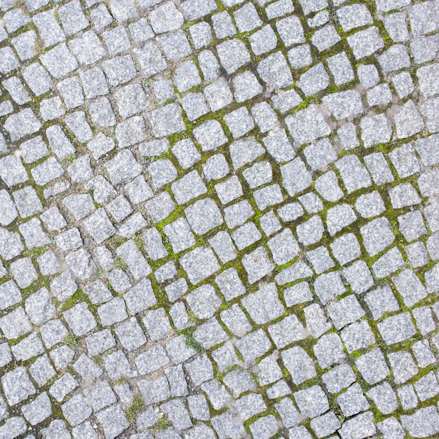 Natural paviment pietra