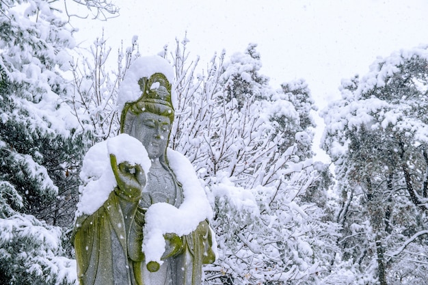 Neve che cade alla statua di Guanyin in un inverno con alberi innevati