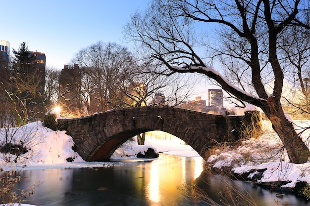 New York City Manhattan Central Park in inverno