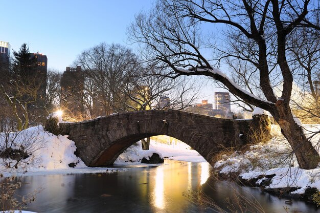 New York City Manhattan Central Park in inverno