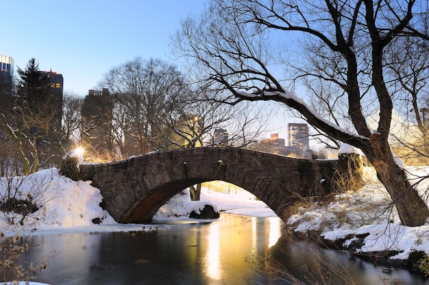 New York City Manhattan Central Park in inverno