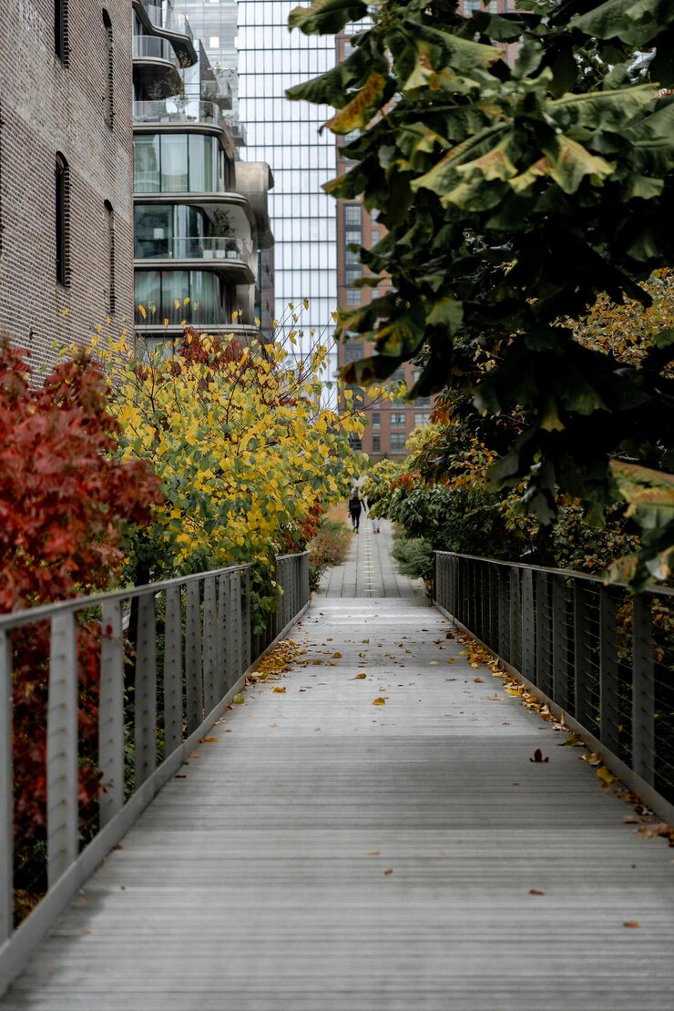 New York City, Stati Uniti d'America sull'High Line Park