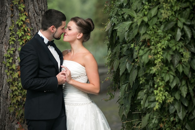 Newlyweds che baciano al tramonto