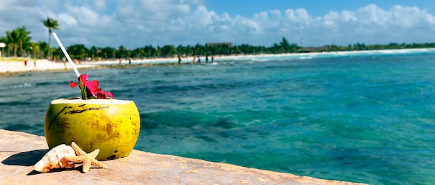 Noce di cocco con cannuccia al mare