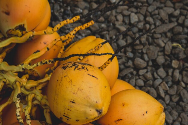 Noci di cocco posa su ghiaia