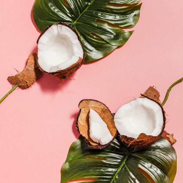 Noci di cocco vista dall'alto con pianta di monstera