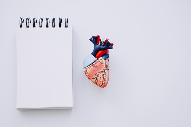Notebook realistico di cuore e bianco